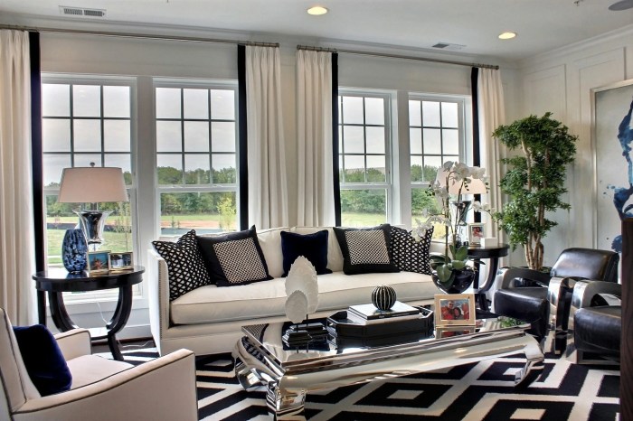 How to decorate a black and white room